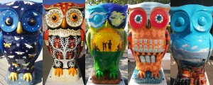 big owls 11 not shared
